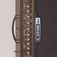 the Guitarist 
