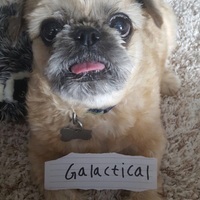 Galactical