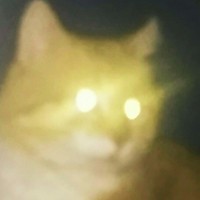 Chudesczar