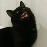 Neffrash