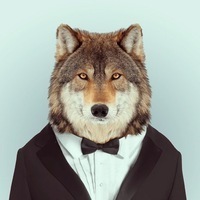 Виталий Фыкалов