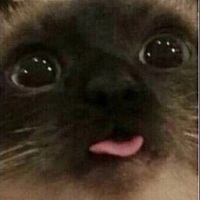 Memes