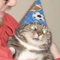 Вжуххх котик