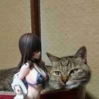 Алексей Корсуков