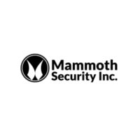 Mammoth Security Inc. New Britain