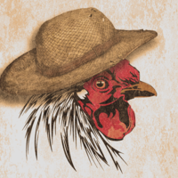 Pitooshok