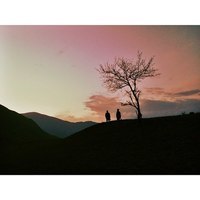 Антон Городецкий