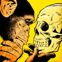 Planeta Dos Macacos