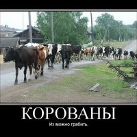 КОРОВАНЫ (ころわん, コロワン)