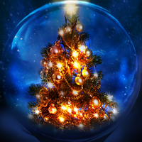 Christmas 2023-2024