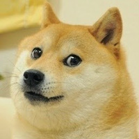 Doge Doggers