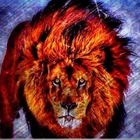 Lion GooooooD
