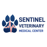 missoulaemergencyvet