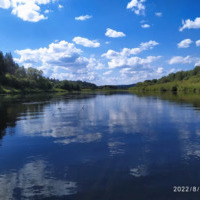 Bure Vestnik