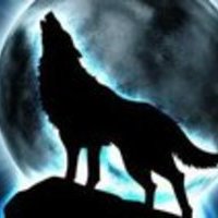 Владимир Волгин