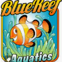 bluereefaquatics