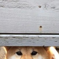 Василий Какин
