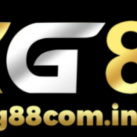 Kg88com Info