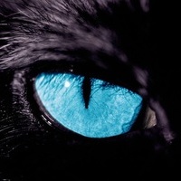 IcePanther