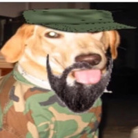 RIP Fido Casserole