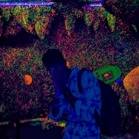 Your Simu