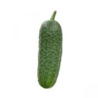 SaltyCucumber