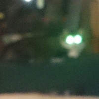 electrick chicken