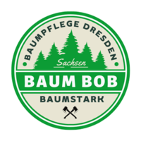 Baumpflege Dresden