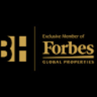 BH Global Properties