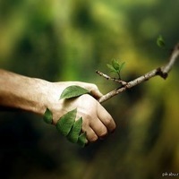 Алексей Андреев