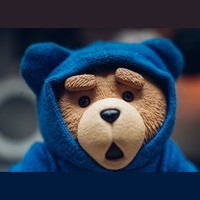 Time to Bear 