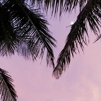 ⠀