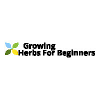 Growing Herbs For Beginners