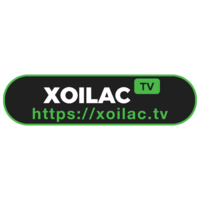 Xoilac tv - Xem trực tiếp bóng đá miễn phí, chất lượng cao