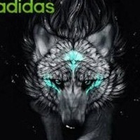 Даниил Ященко