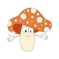 mushroom-spores