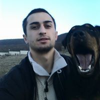 დავით თინიკაშვილი