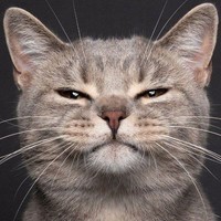 КотЬ