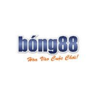 bong88lipaugmentation