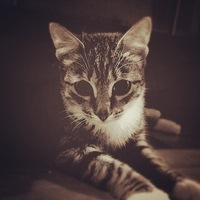 Илья Субачев