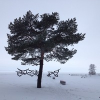 Евгений Кириллов