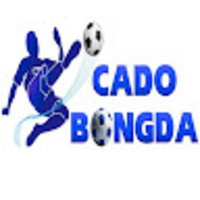 Cá Cược Bóng Đá