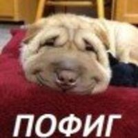 pofig13