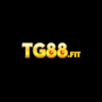 TG88 – Nhà cái đẳng cấp số 1 tại việt Nam
