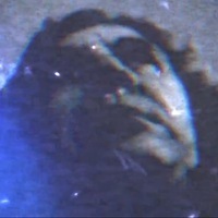 Angel Past