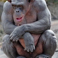 moscihugscshcjksp