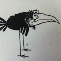 crow