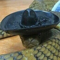 Тимур Куликов