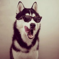 Александр Колоколов