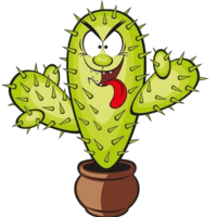 FetidCactus